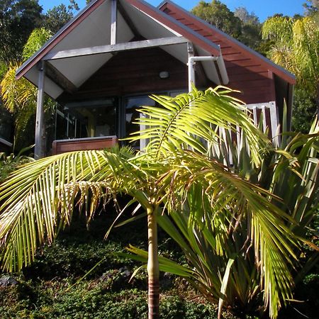 Bay Cabinz Motel Paihia Exterior photo